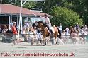 IMG_6491