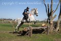 IMG_9420