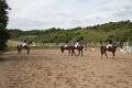 IMG_8876