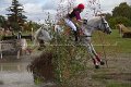 IMG_1248