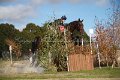 IMG_1331