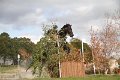 IMG_1355