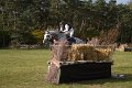IMG_1389