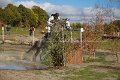 IMG_1401