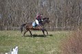 IMG_2648