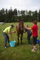 IMG_0318