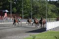 IMG_8243