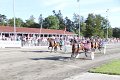 IMG_8252