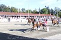 IMG_8254