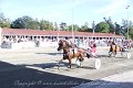 IMG_8255