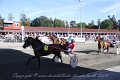 IMG_8257