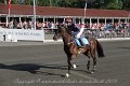 IMG_8276