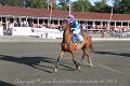 IMG_8288
