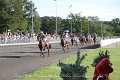 IMG_8298