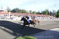 IMG_8328
