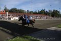 IMG_8334