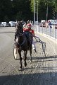 IMG_8413