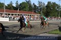 IMG_8433