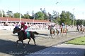 IMG_8445