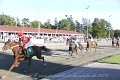IMG_8446
