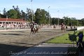 IMG_8465