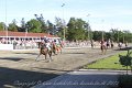IMG_8468