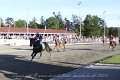 IMG_8469