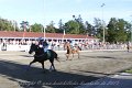 IMG_8470