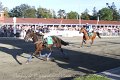 IMG_8472