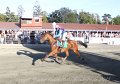 IMG_8477