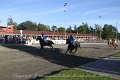 IMG_8484
