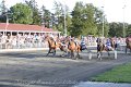 IMG_8519