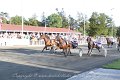 IMG_8521