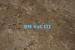 2 - Kat III