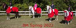 1: BM Spring 2022