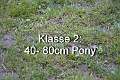 Klasse 2. 40 - 80cm Pony