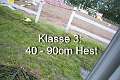 Klasse 3. 40 - 90cm Hest