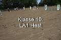 Klasse 10. LA1 Hest