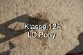 Klasse 13. LB1 Pony