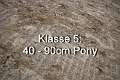 Klasse 5. 40 - 90cm Pony