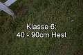 Klasse 6. 40 - 90cm Hest