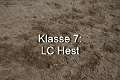 Klasse 7. LC Hest