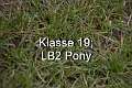 Klasse 19. LB2 Pony