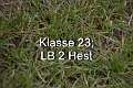 Klasse 23. LB2 Hest